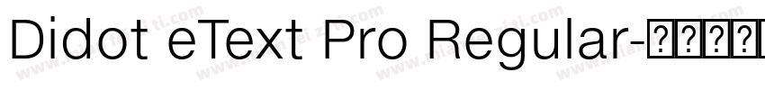Didot eText Pro Regular字体转换